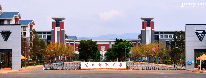 ����ʦ����ѧ�޻���ѧ���п�Ŀ��ʲô