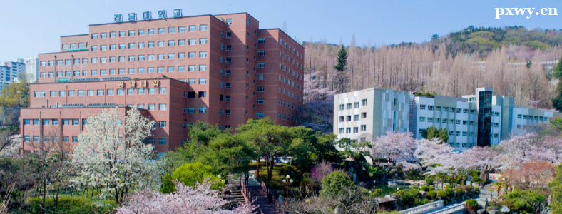 �������ϴ�ѧ��ѧ��ô��