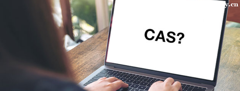 ����CAS��ʲô��˼