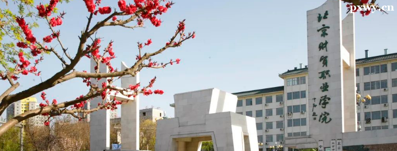 ������óְҵѧԺ2023������ְ���࿼�������³̣����У�