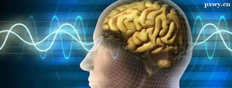 �����뾫������ѧ�о�����ҵǰ��