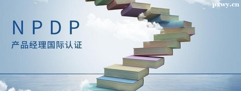 NPDP���Զ���Ǯ