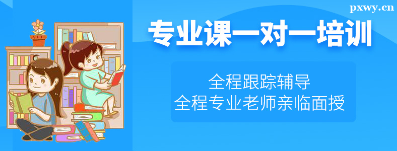 �����ѡ������ѵ������