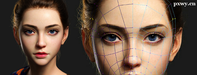 3DMax��Maya��ѧ�ĸ�