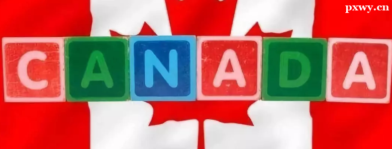 ���ô��о�����ѧ����������ʲô