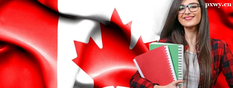 ���ô��о�����ѧ��������