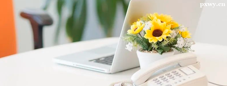 2024�꿼��Ԥ����ע�����������������