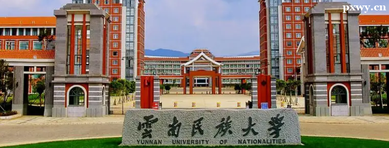 ���������ѧ�����������п���Щ��Ŀ