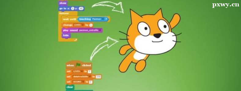 �ٶ���������Ƿ�Ӧ�ô�ѧϰScratch��ʼ