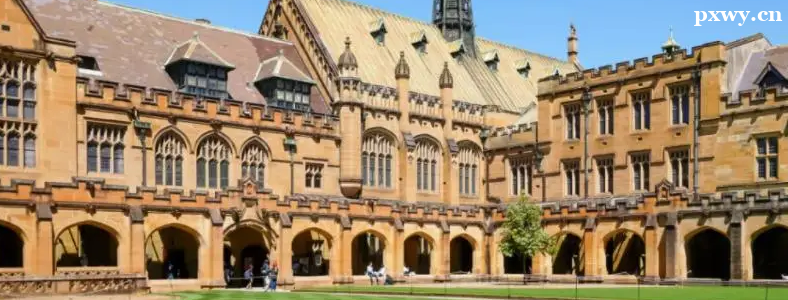 ���ޱ�����ѧ����������ʲô