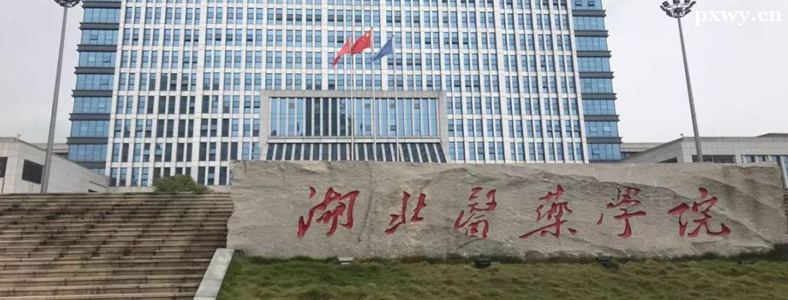 ����ҽҩѧԺ2024��˶ʿ�о��������³̷���