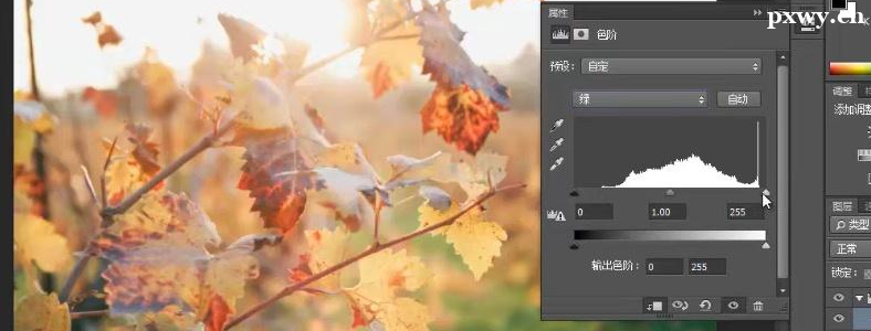 ��ѧPS���û�л�������ѧ��