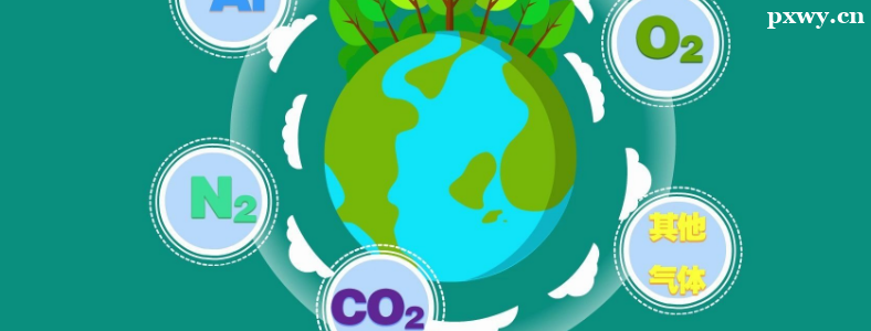 ������ѧרҵ���п�Ŀ