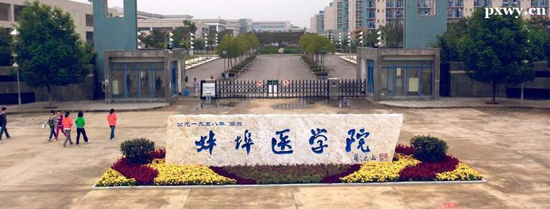 ����ҽѧԺ2024�����չ���˶ʿѧλ�о����������·���