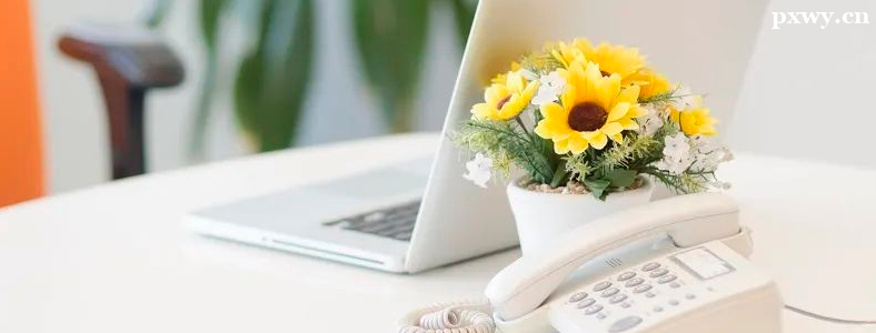 2024�귨���о�������ʱ��