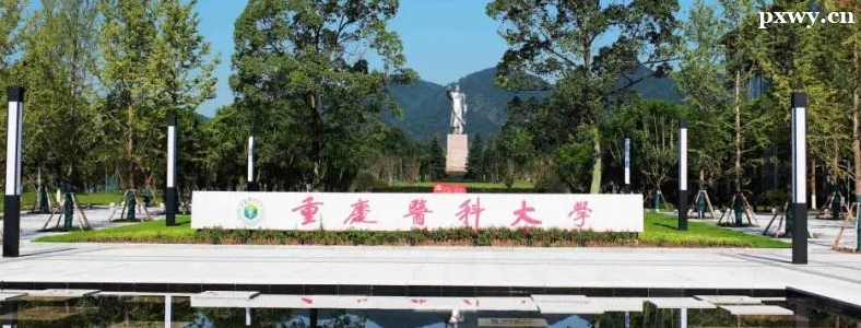 ����ҽ�ƴ�ѧ2024�����չ���˶ʿѧλ�о��������³̷���