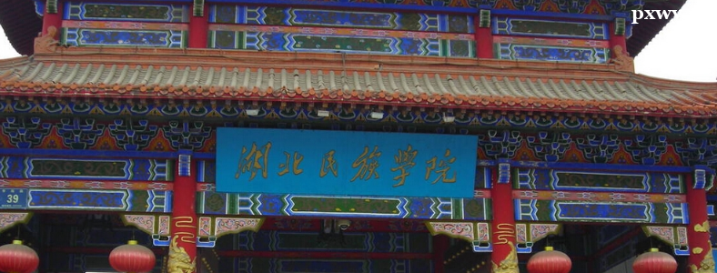 ���������ѧ2024��˶ʿ�о����������·���