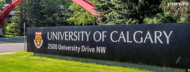 ���ô���ѧ�Ƚ���������Ĵ�ѧ����Щ