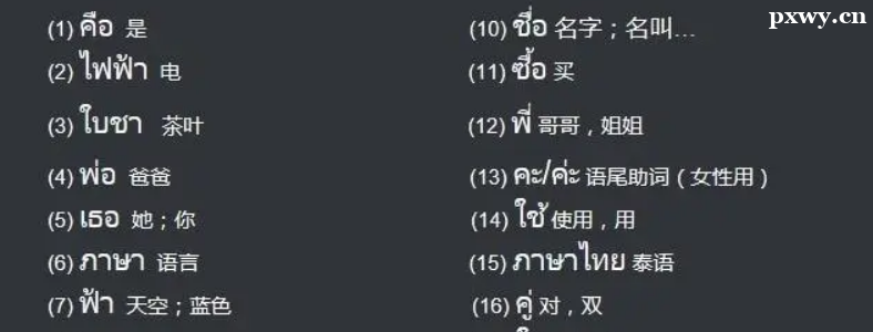 ����ѧ̩�����������