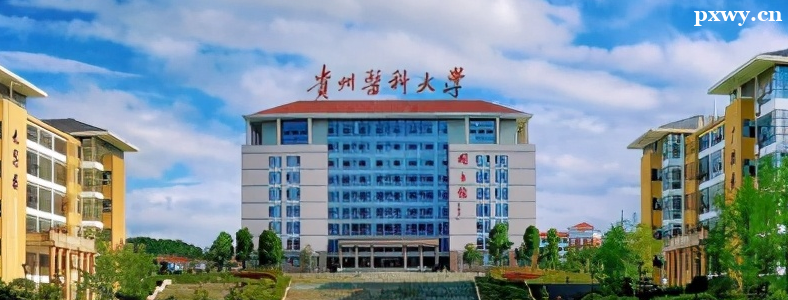 ����ҽ�ƴ�ѧ2024��˶ʿ�о��������³̷���