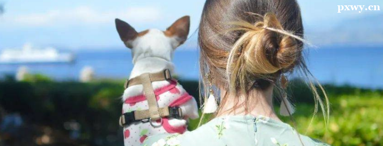 ��������ѯʦ֤���ܹ�����Ǯ