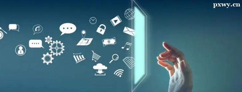 ����������ѧʲô�������