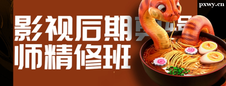 ��Ƶ����ʦ��Ҫ������ѵ��