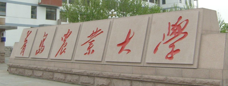 ũҵ��ѧ�о�����ҵ���ʲô