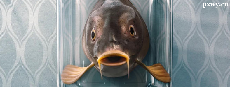 Ů���ʺ�������ƻ���ƽ�����