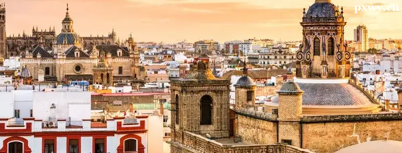 ��������ѧ�о�������������ʲô