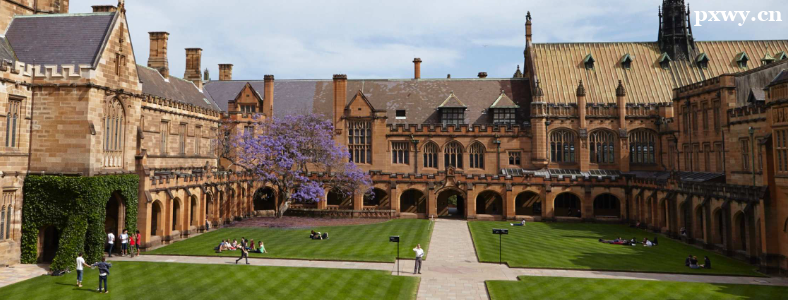 Ӣ���Ͱ�����ѧѡ���ĸ���