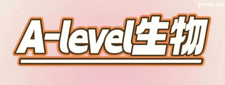 A-level�����Ѳ��ѿ�A