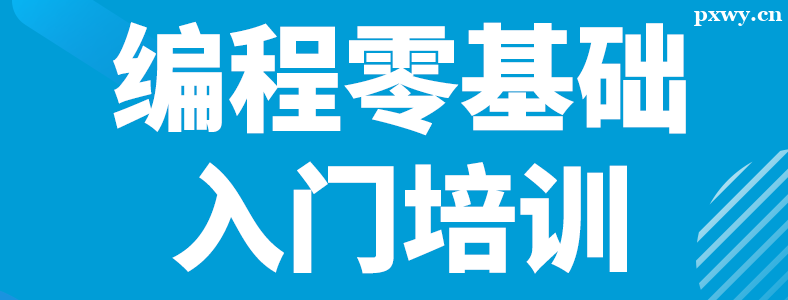 ����������ѵ���������ô��