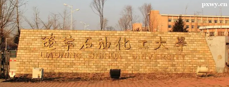 ����ʯ�ͻ�����ѧ2024��˶ʿ�о��������³̷���