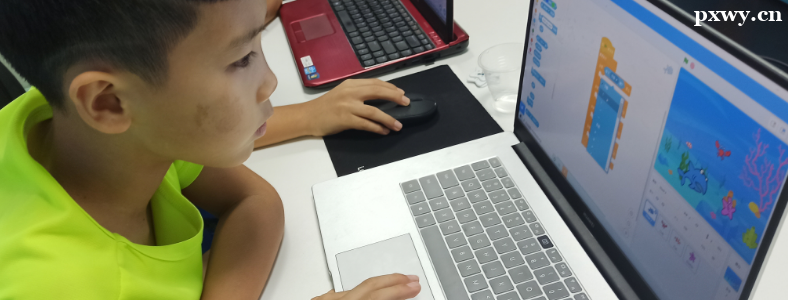 С����ѧ���Ϊʲô��Scratch��ʼ