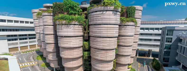 24Fall�¼���˶ʿ����滮