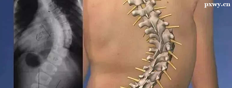 ���صļ���������ô����