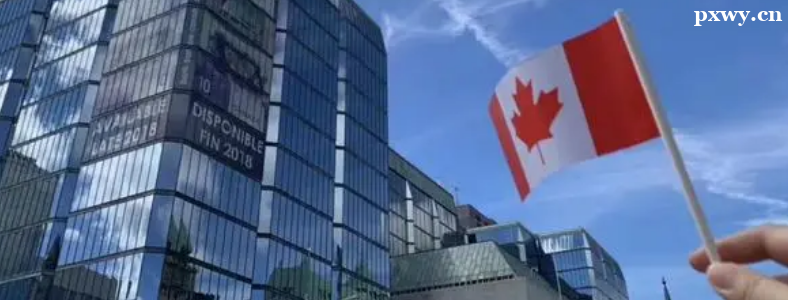 ���ô���ѧCO-OP��Ŀ��ʲô