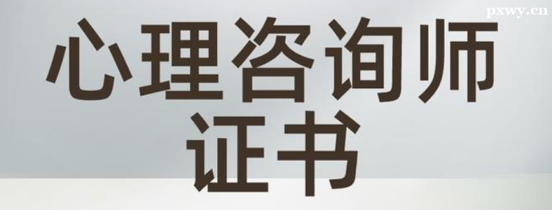 ������ѯʦ֤����ô��������