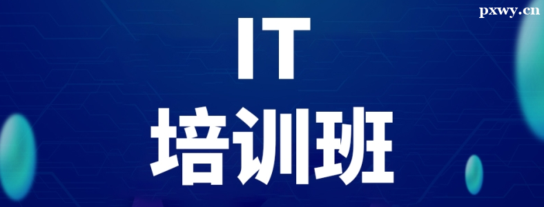 ȥIT��ѵ����������
