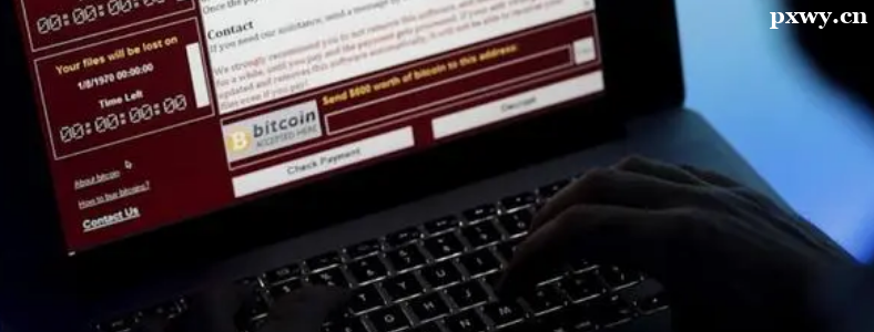ѧ���簲ȫ����ʦ�����ܸ�ʲô