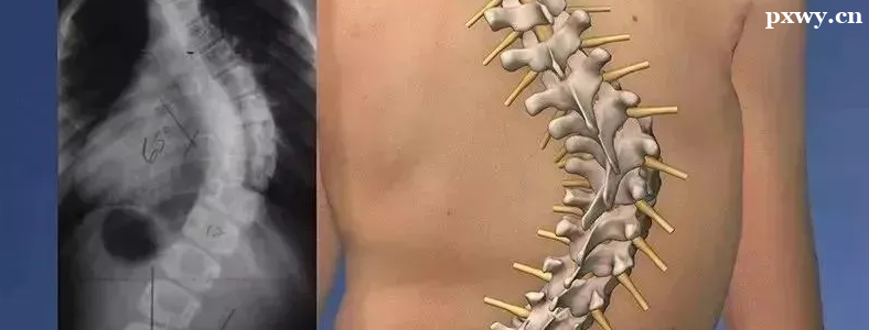 ������͹��������Щ֢״����