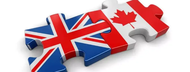 Ӣ��������ѧ�ͼ��ô�����ĸ���