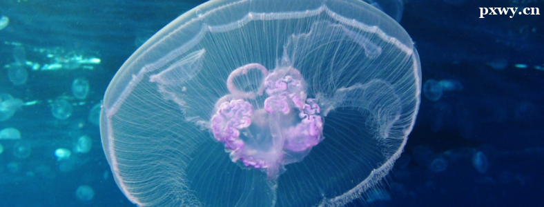 ��������ѧרҵ���о�ҵǰ����ô��