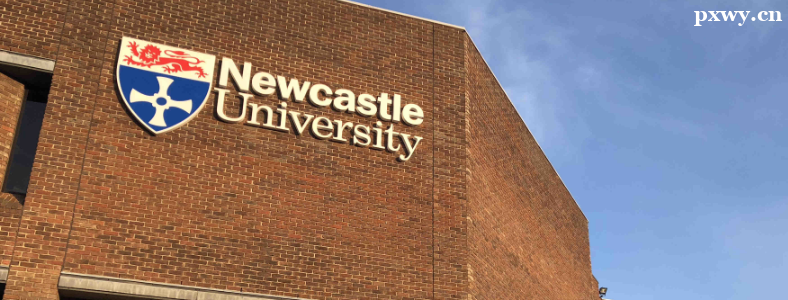 Ӣ������רҵ�õĴ�ѧ����Щ