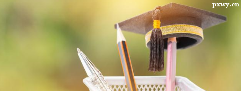 2024�����Ѷ�Ԥ��