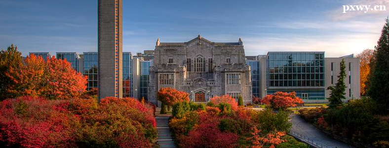 ���ô���ѧ���빤����רҵ����ЩѧУ