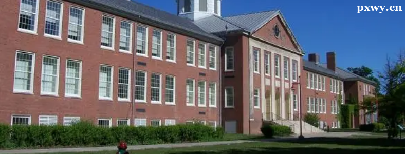 ������������ѧ����������Щ