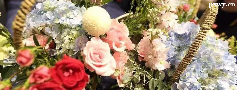 �Ϻ�ѧ���մ�Ŷ���Ǯ