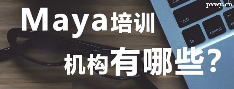 ����Maya��ѵ������Щ